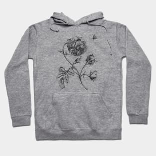 Rose Flower Vinatge Botanical Illustration Hoodie